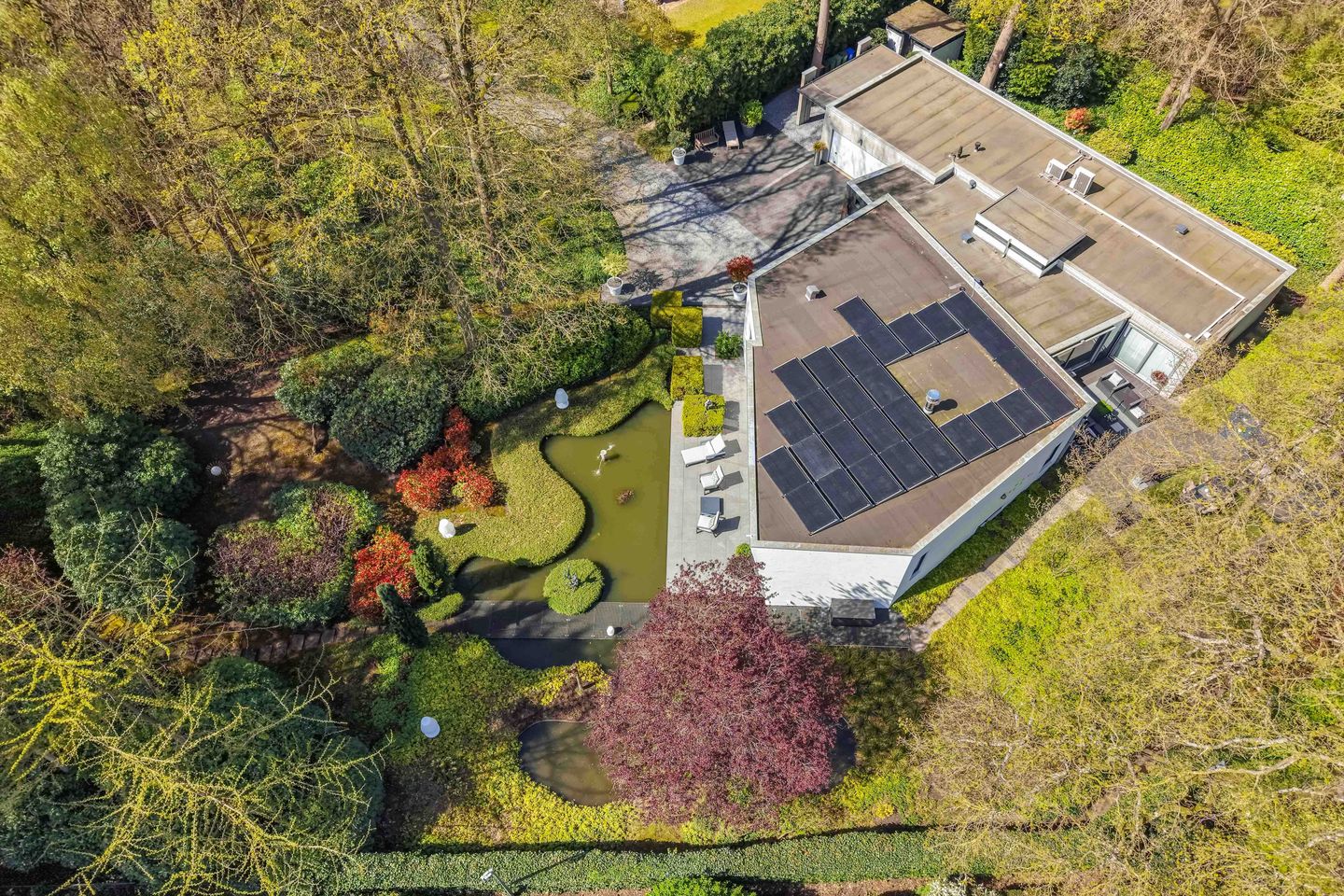 Foto 79 van Beukenlaan 11