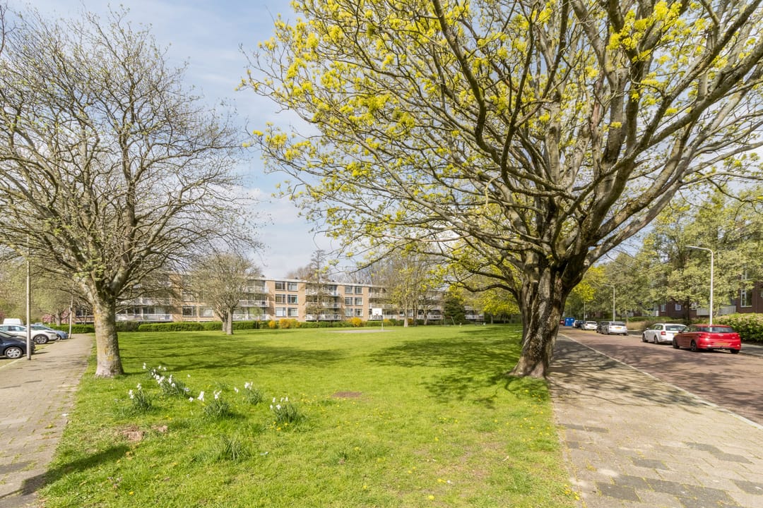 Foto 26 van Van der Haertstraat 13