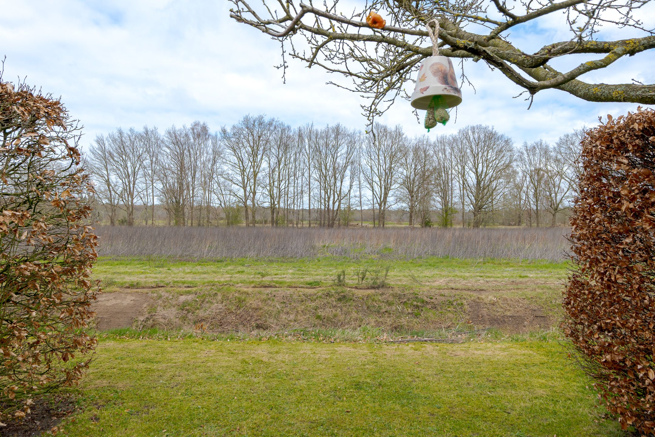 Foto 42 van Korenbloemweg 30