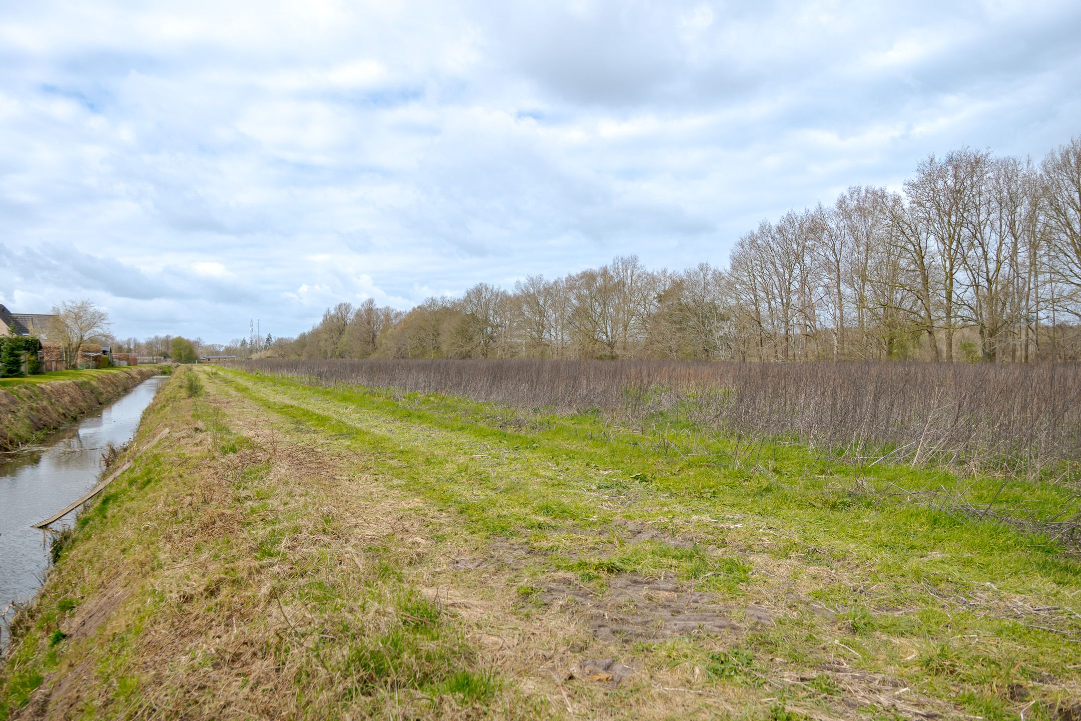 Foto 48 van Korenbloemweg 30