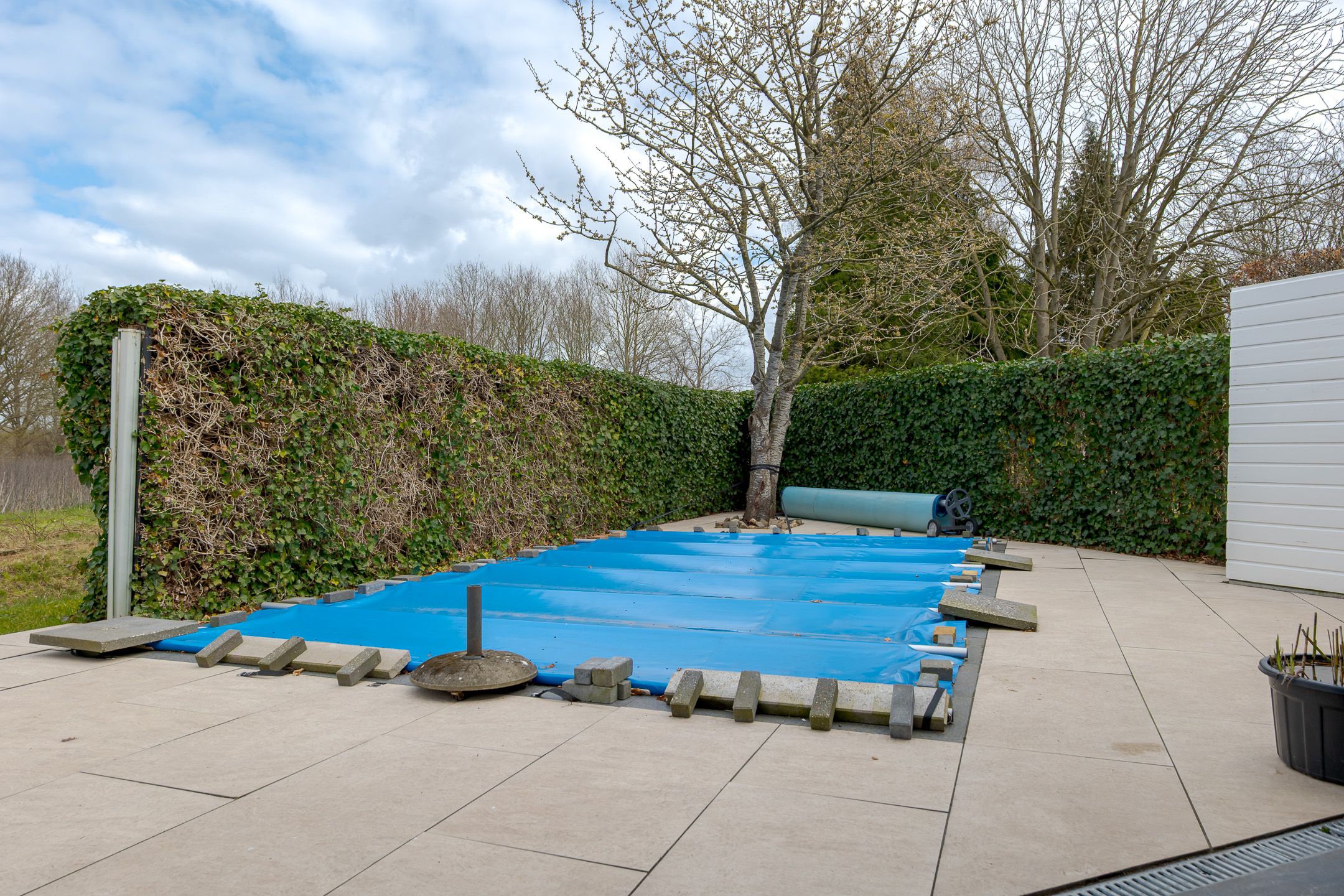 Foto 45 van Korenbloemweg 30