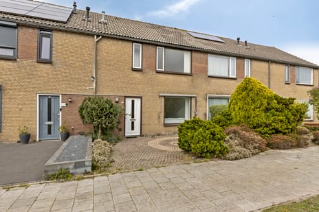 Van Houtenstraat thumbnail