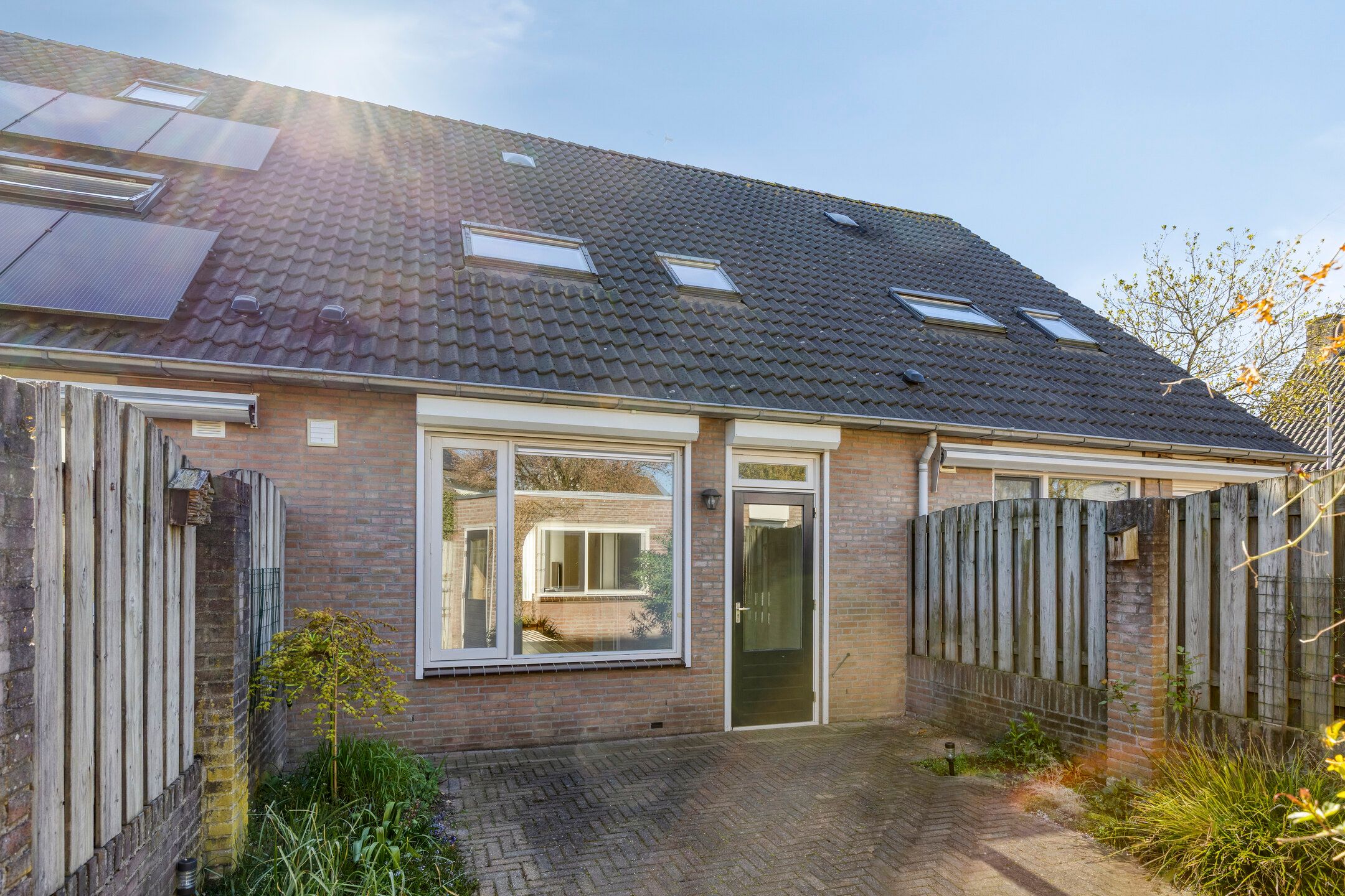 Foto 30 van Vogelwikke 4