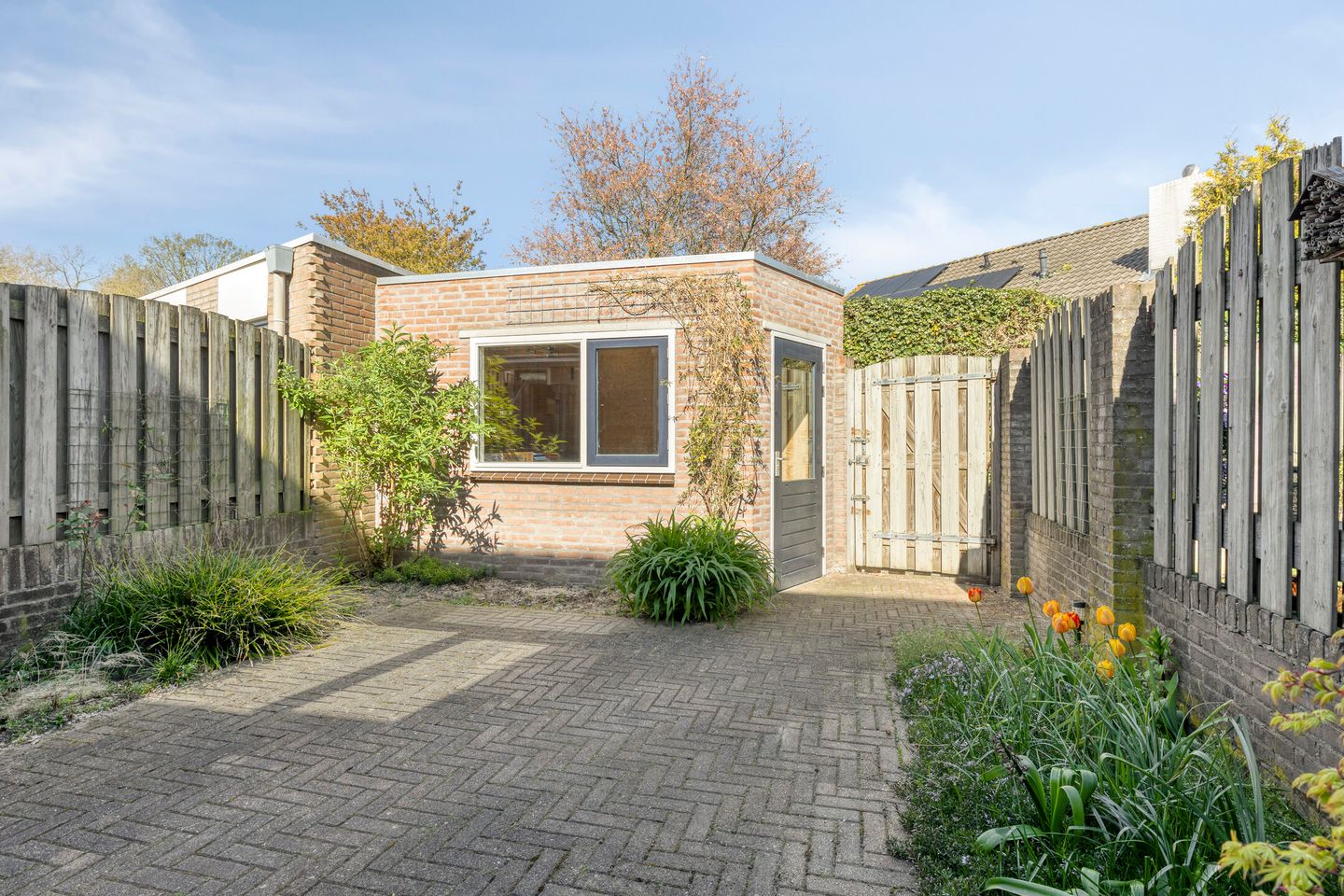 Foto 5 van Vogelwikke 4