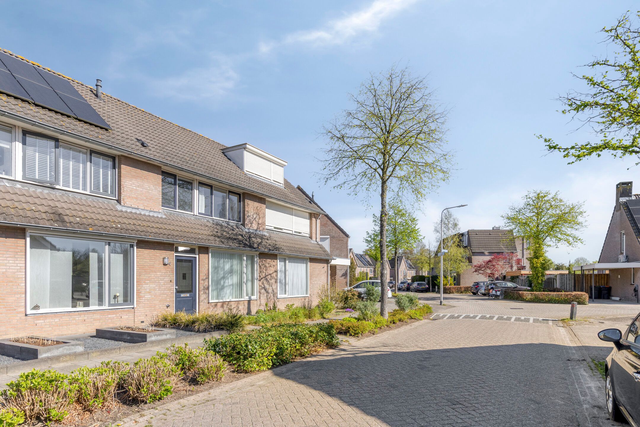 Foto 6 van Vogelwikke 4