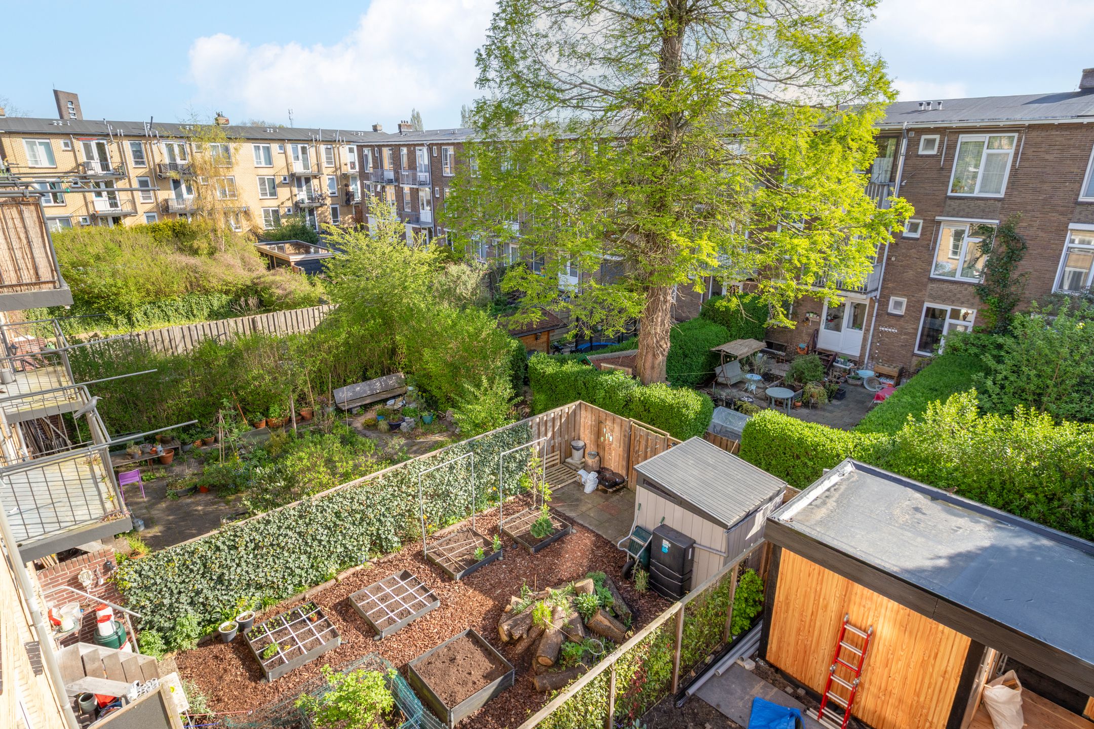 Foto 36 van Louise de Colignystraat 72