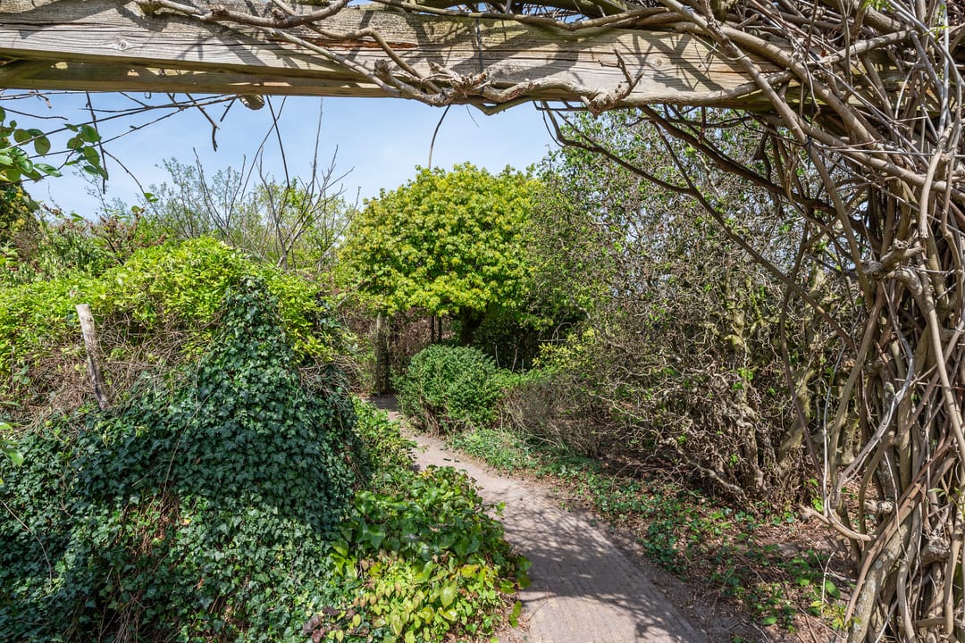 Foto 7 van Warmelo 25