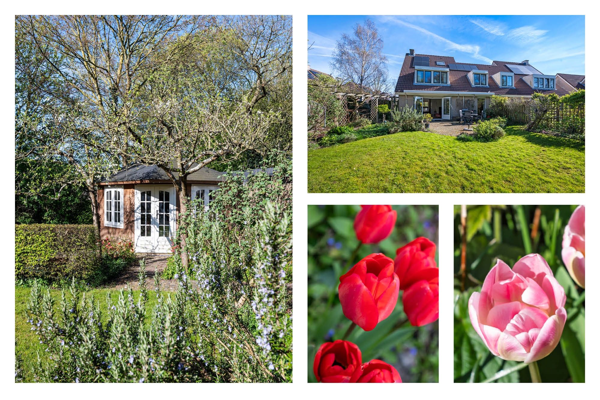 Foto 42 van IJweg 1107