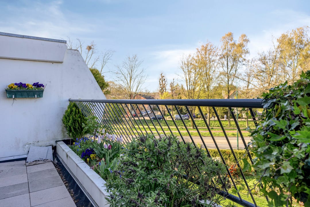 Photo 22 of 't Kofschip 53