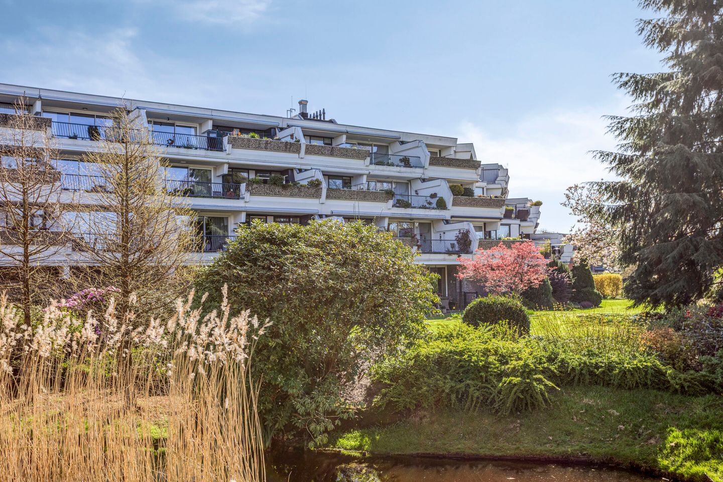 Photo 25 of 't Kofschip 53