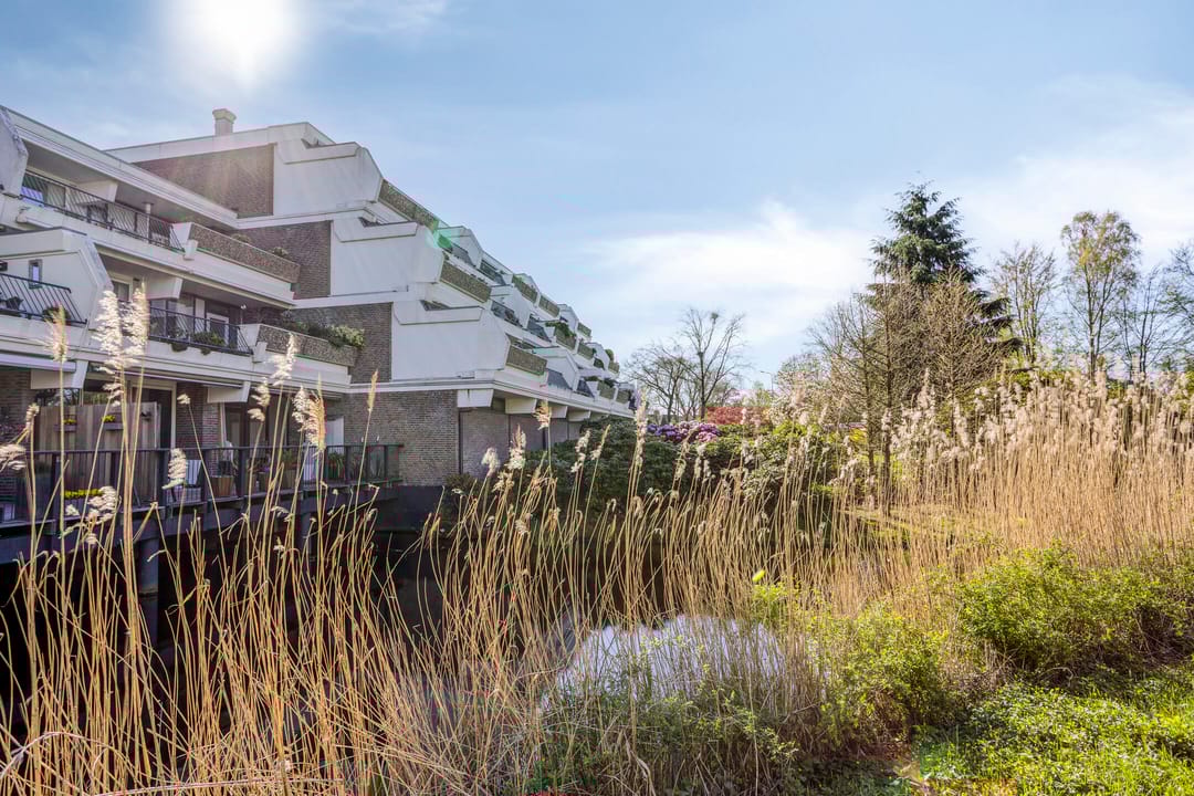 Photo 26 of 't Kofschip 53