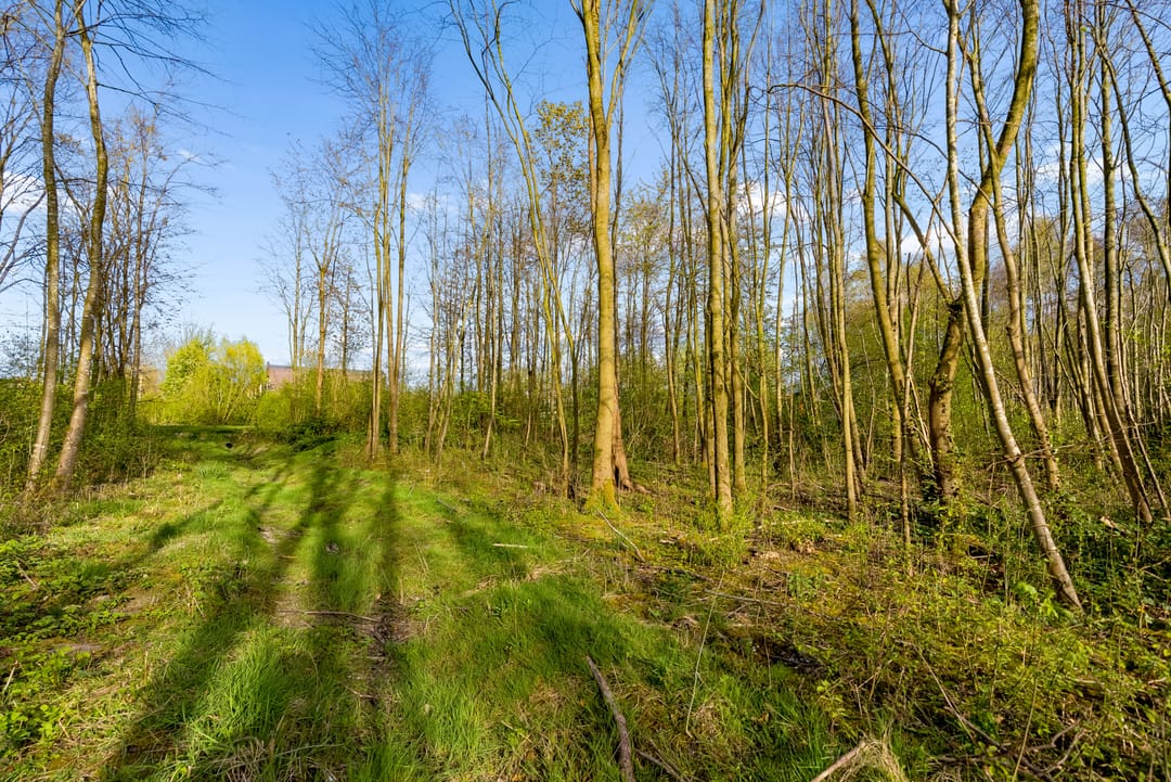 Foto 82 van Sprietzeil 42