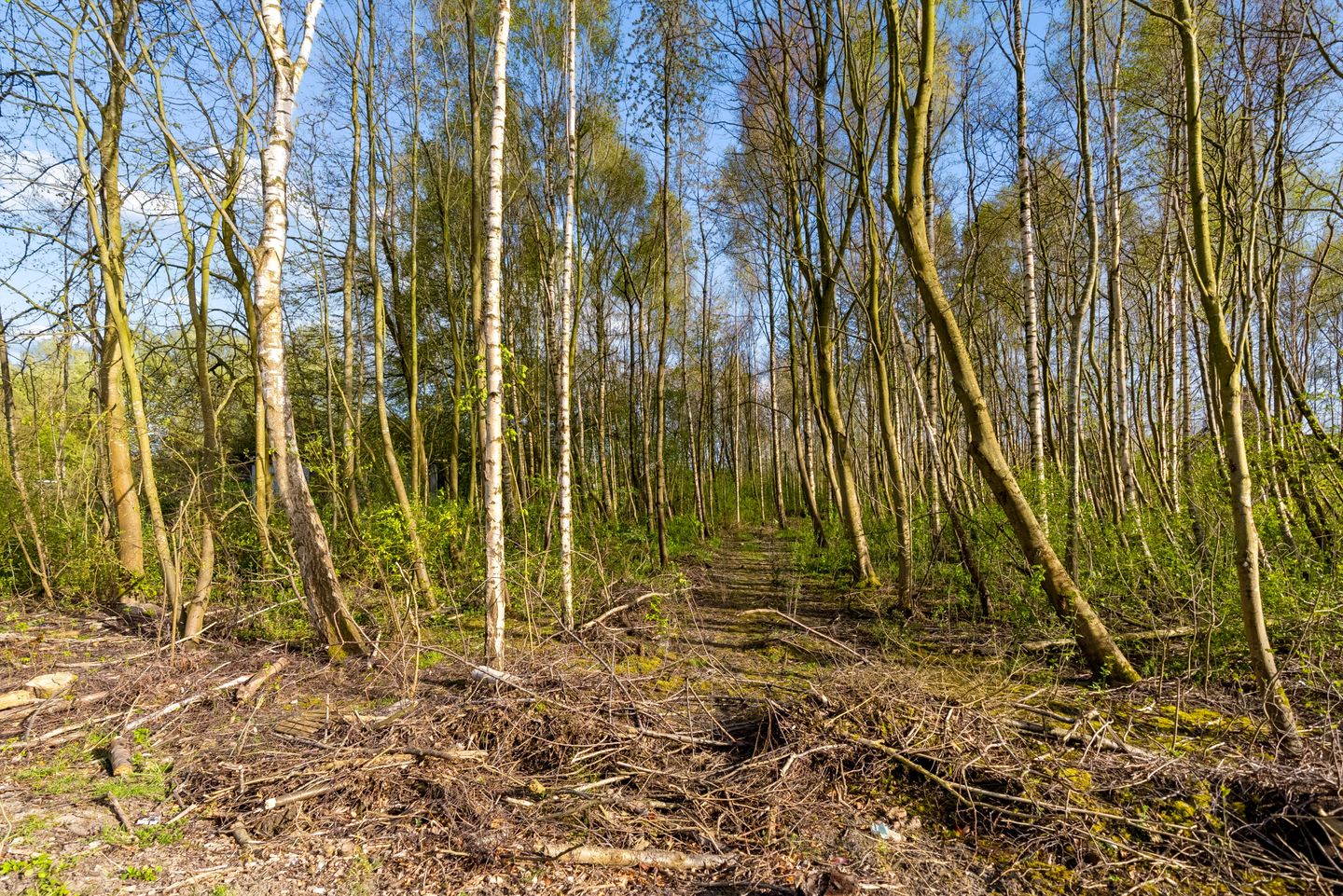 Foto 85 van Sprietzeil 42