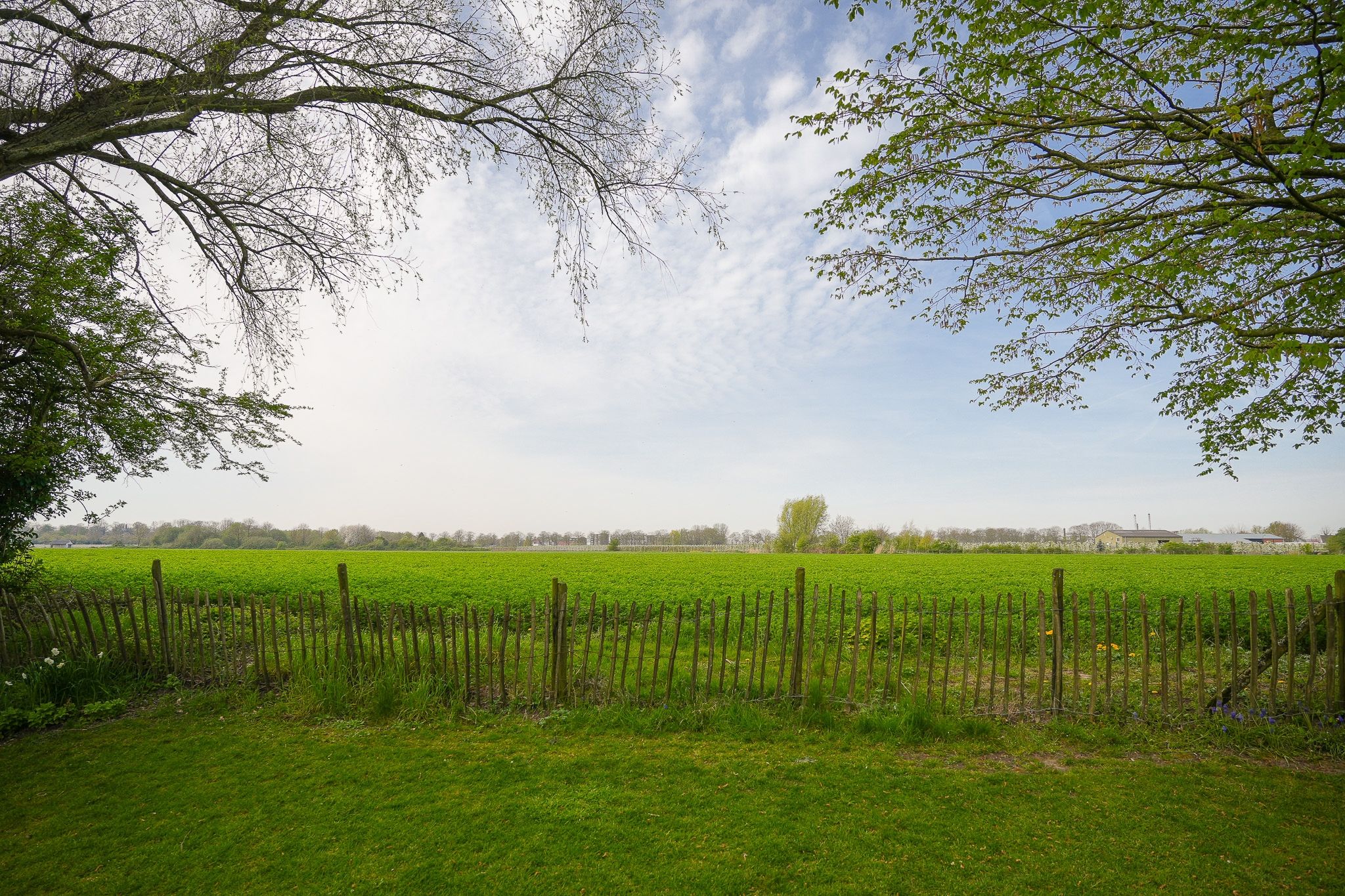 Foto 42 van Leerdamseweg 52