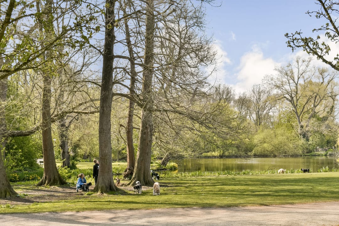 Foto 22 van Eerste Helmersstraat 239-3