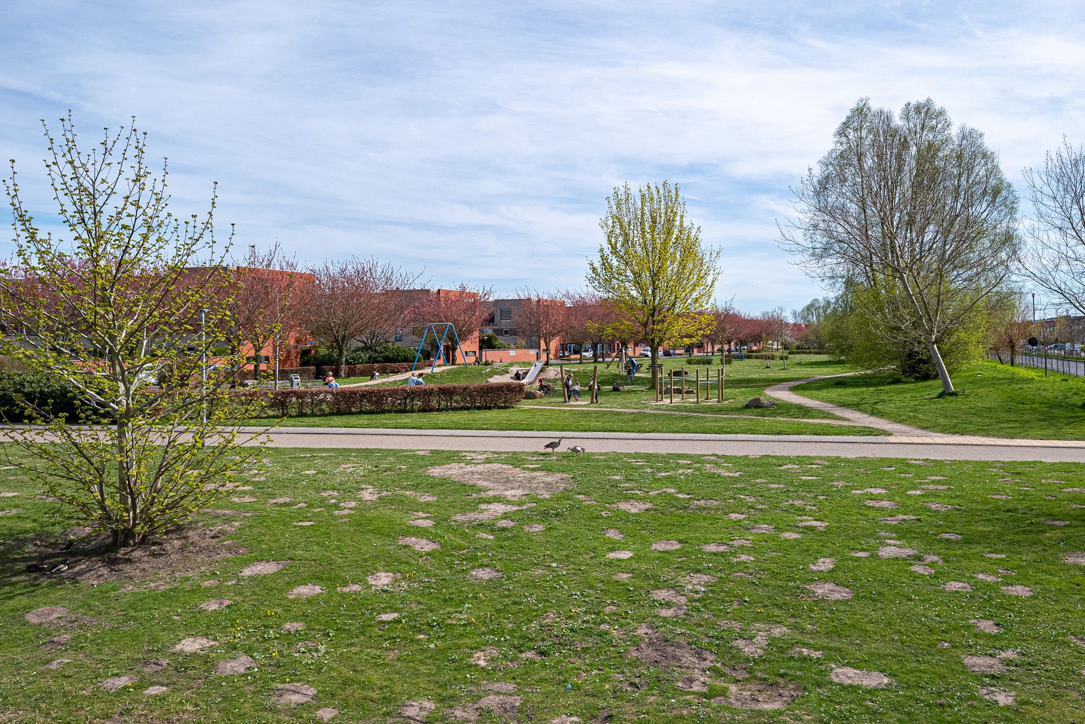 Foto 39 van François Valentijnstraat 97