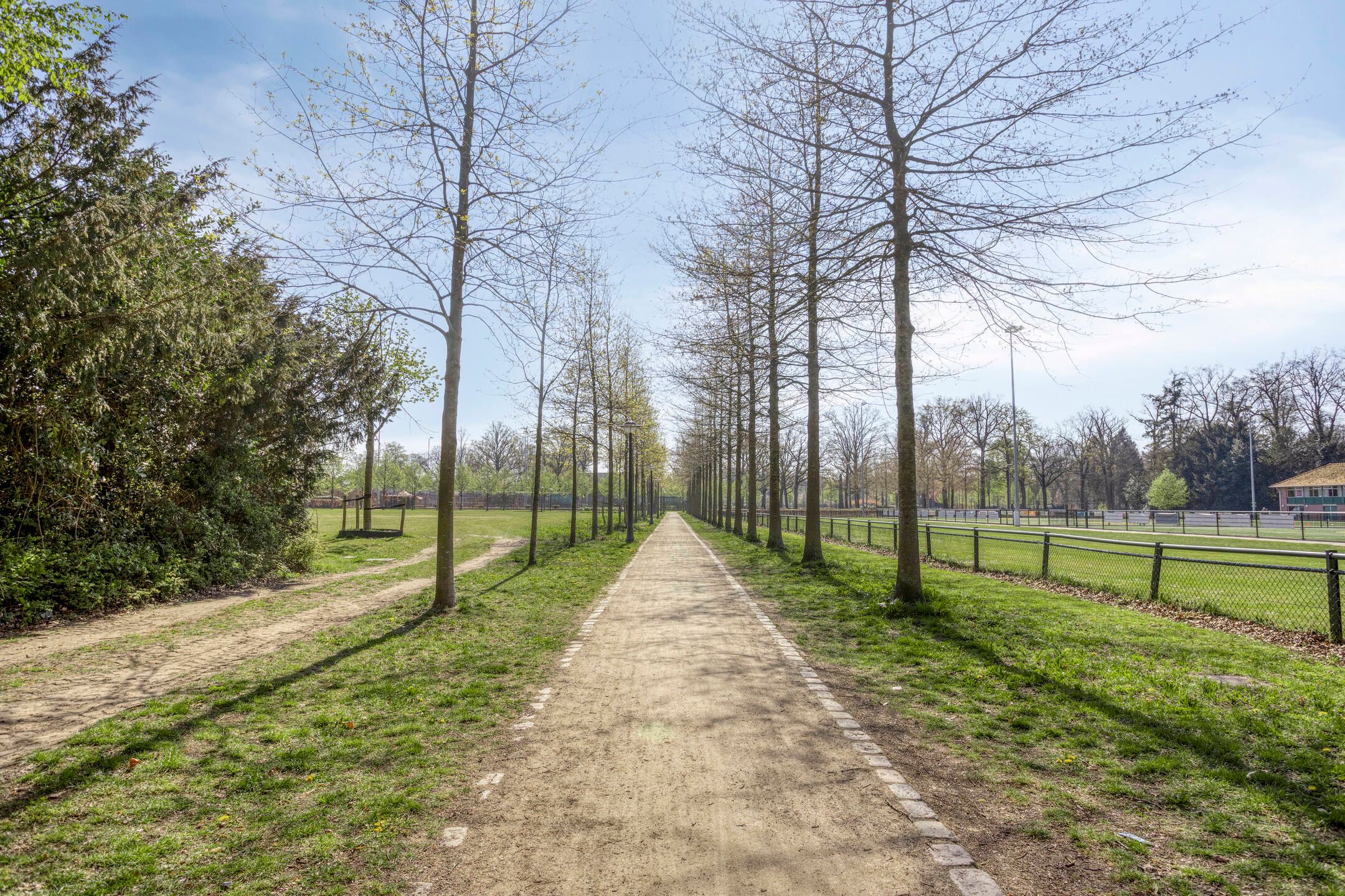 Photo 42 of Minister De Savornin Lohmanlaan 73