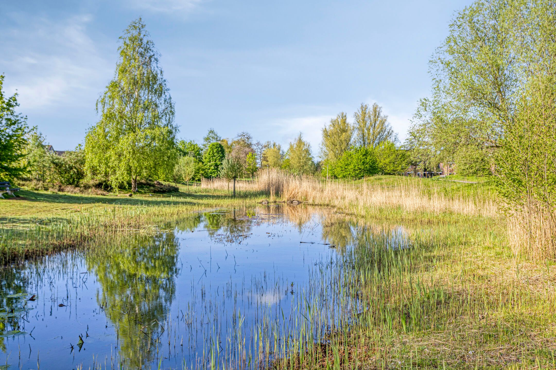 Foto 42 van Meidoornstraat 14