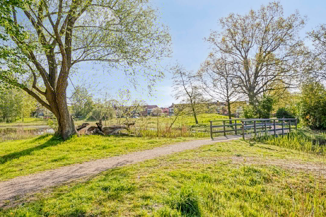 Foto 41 van Meidoornstraat 14