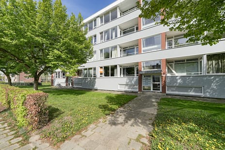 Platostraat thumbnail