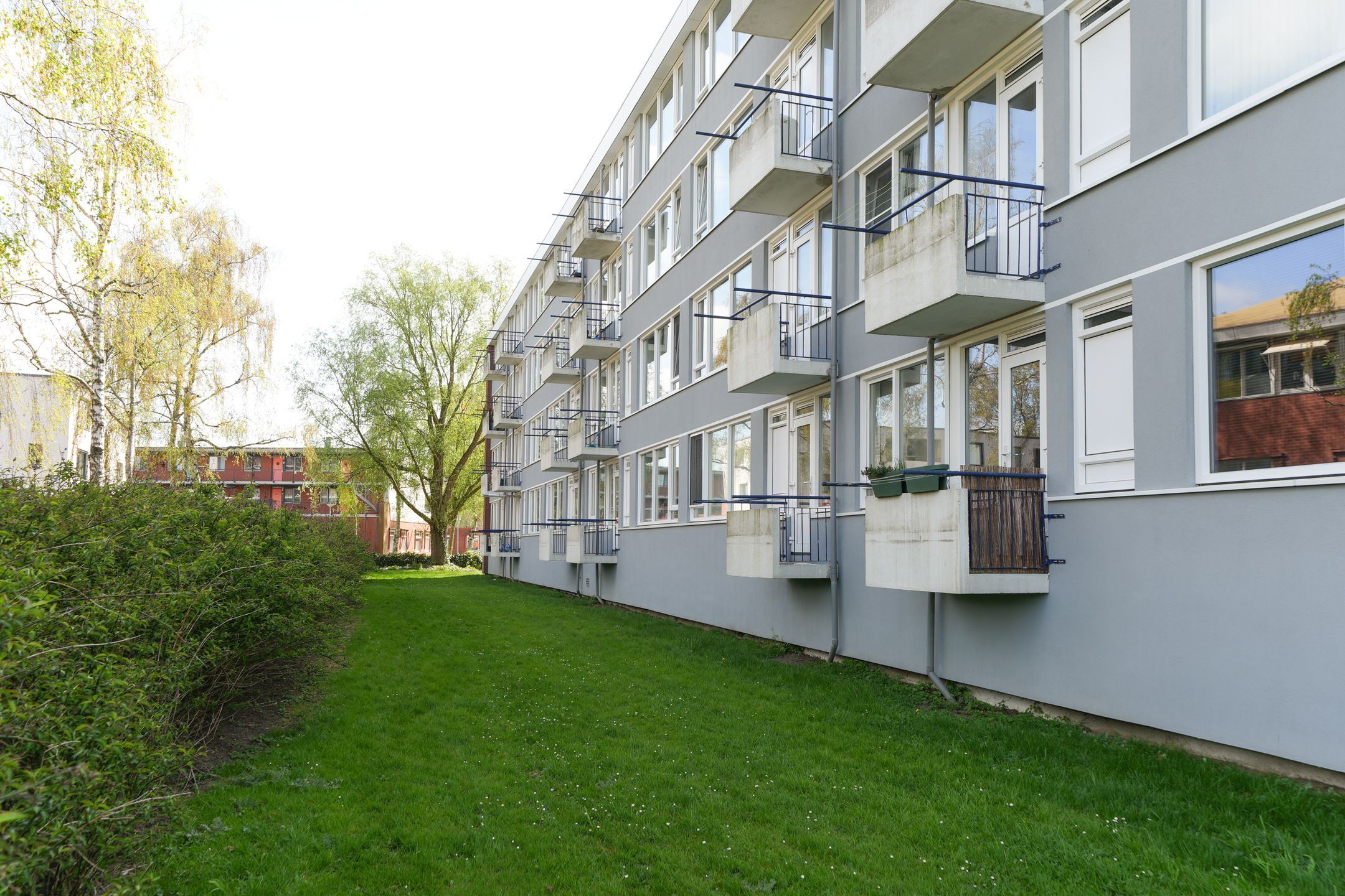 Foto 24 van Platostraat 55