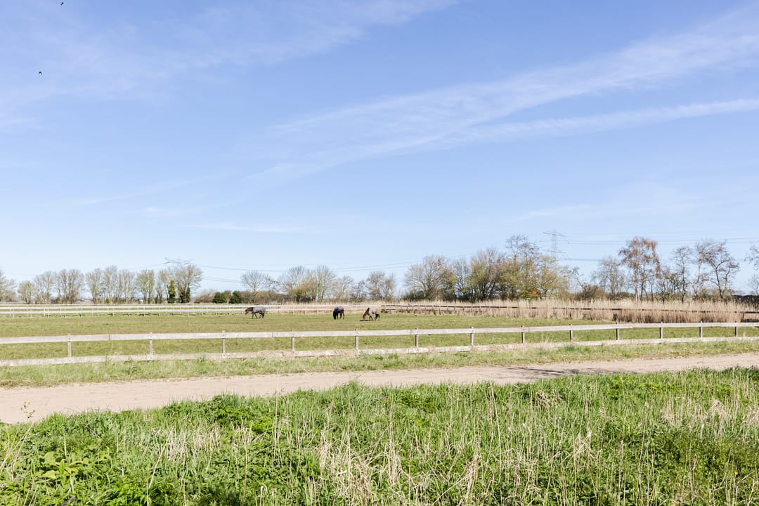 Photo 52 of Dorpsstraat 138-B