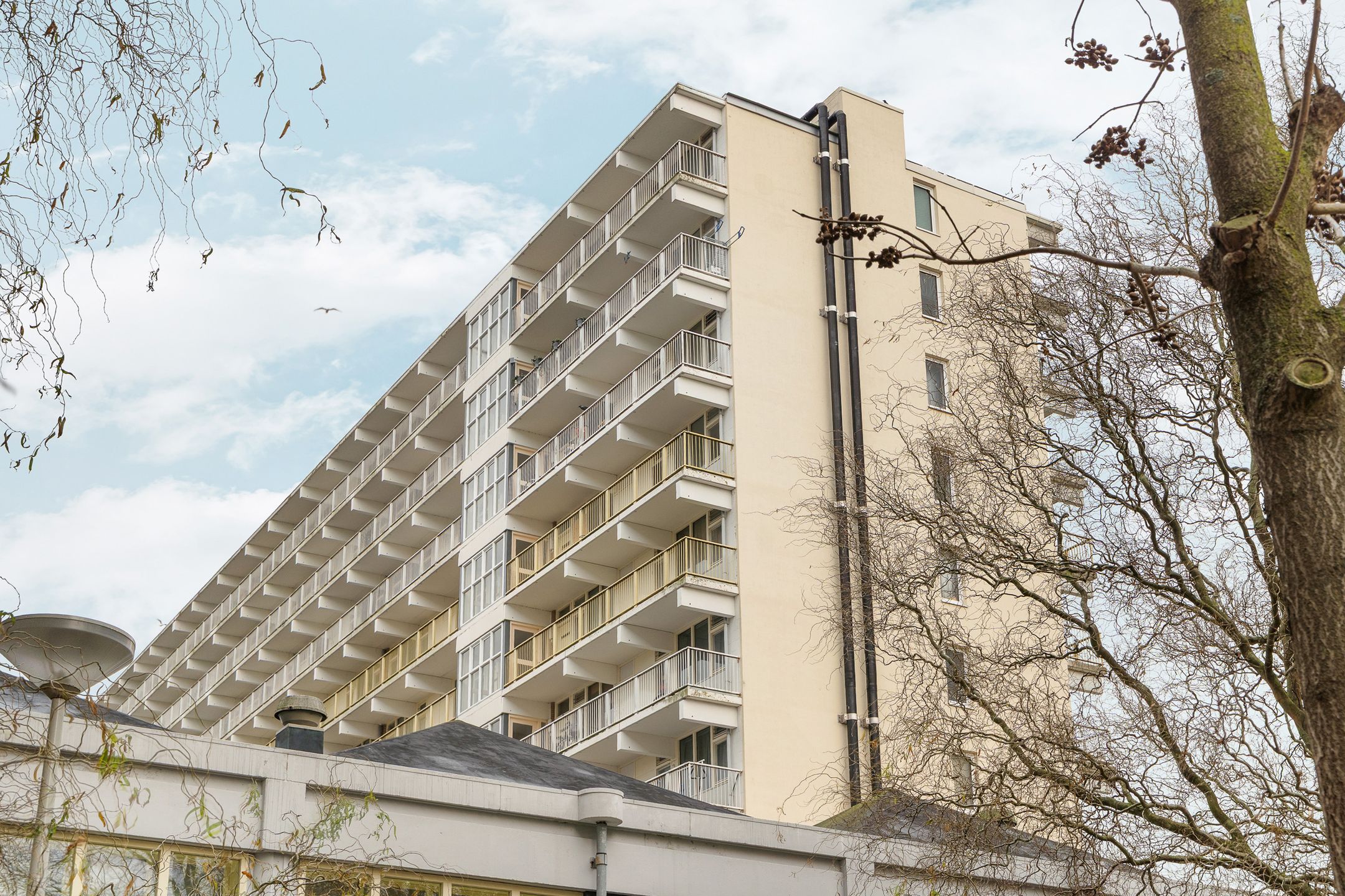 Foto 27 van Hofgeest 121