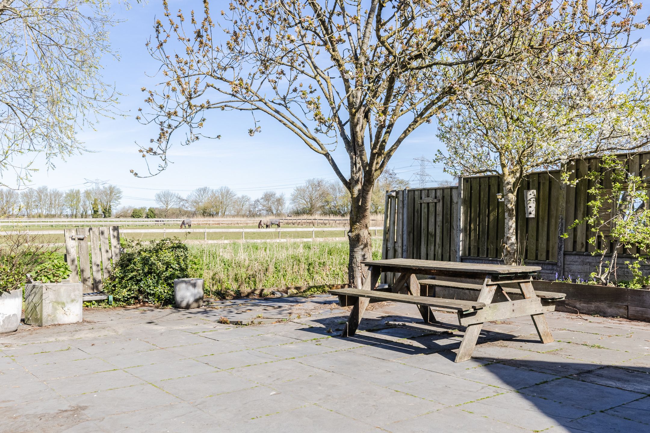 Photo 51 of Dorpsstraat 138-B