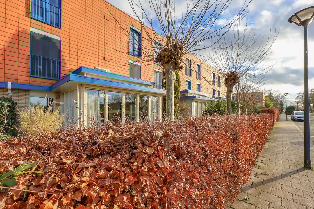 Foto 56 van Singraven 15