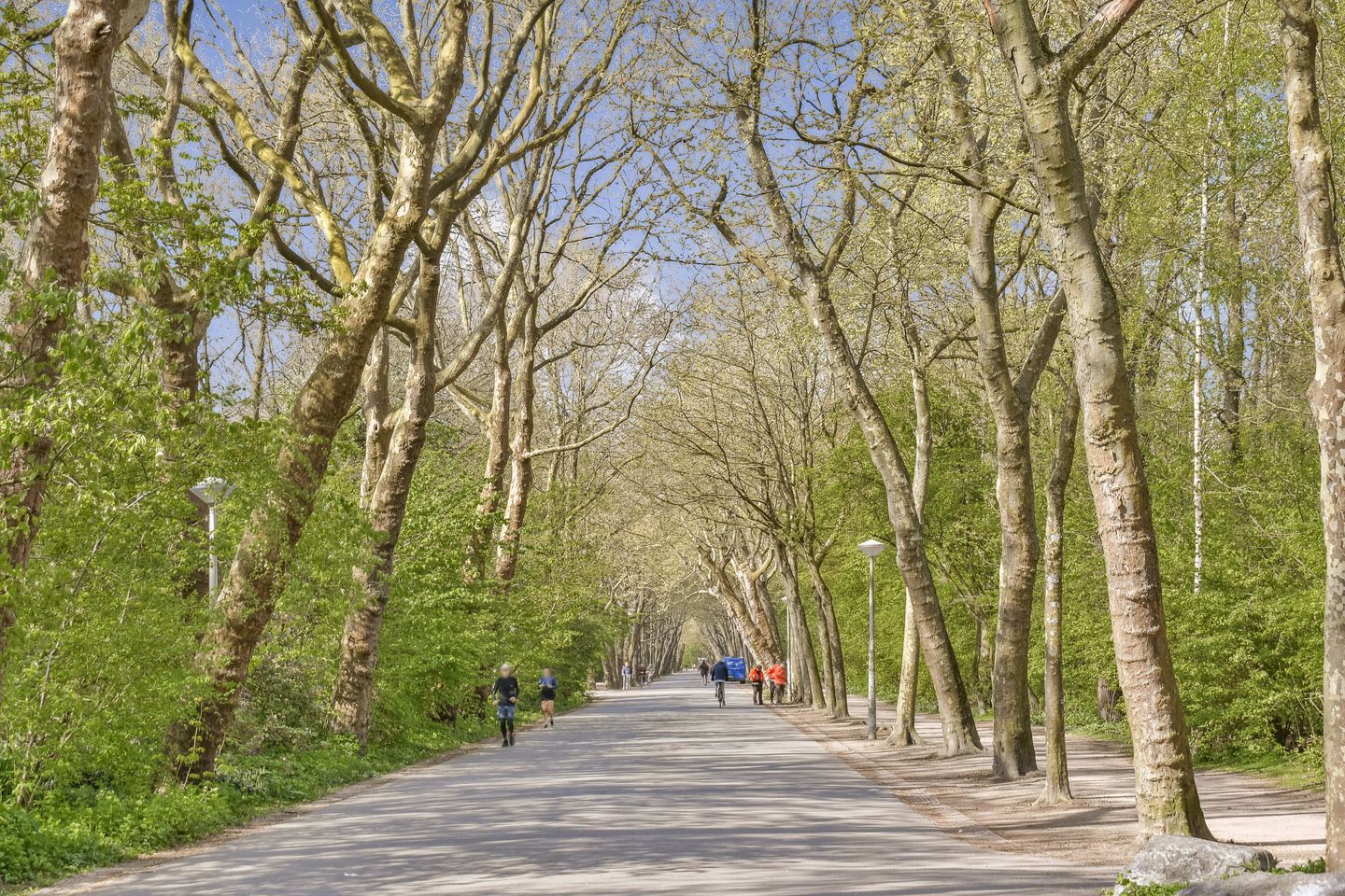 Foto 19 van Reyer Anslostraat 11-2