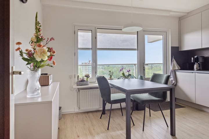 Photo 5 of Churchilllaan 250