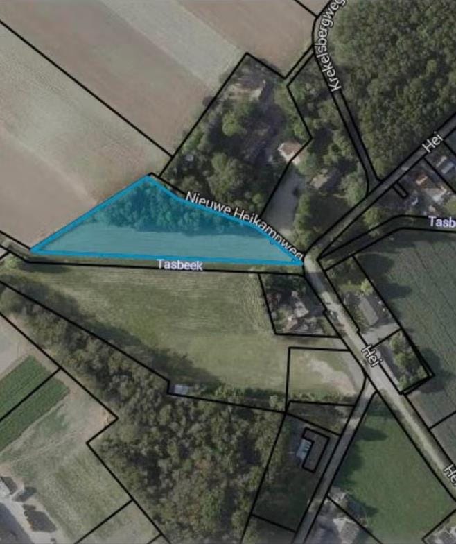 Hei - Kessel - Afbeelding 4