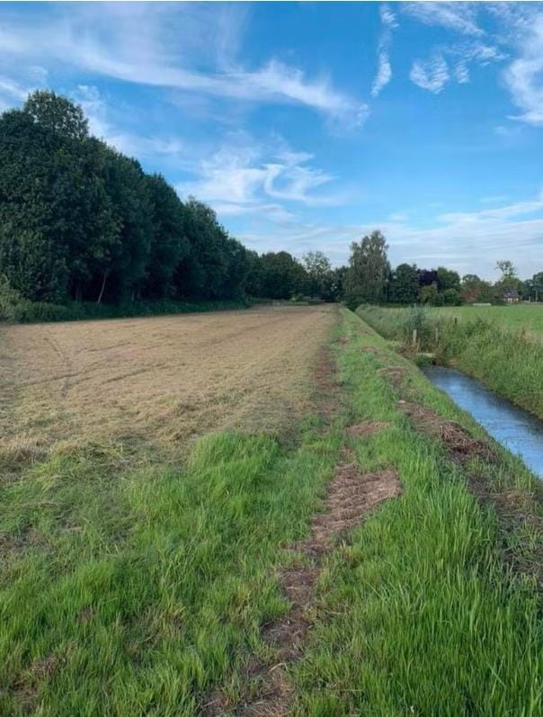 Hei - Kessel - Afbeelding 7