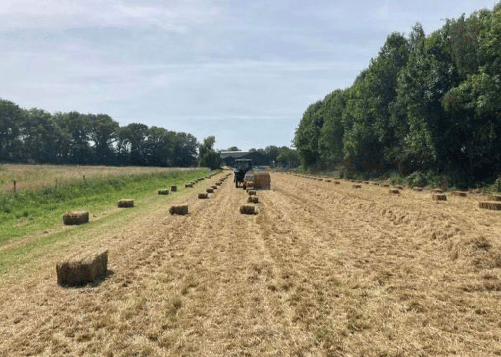 Hei - Kessel - Afbeelding 5