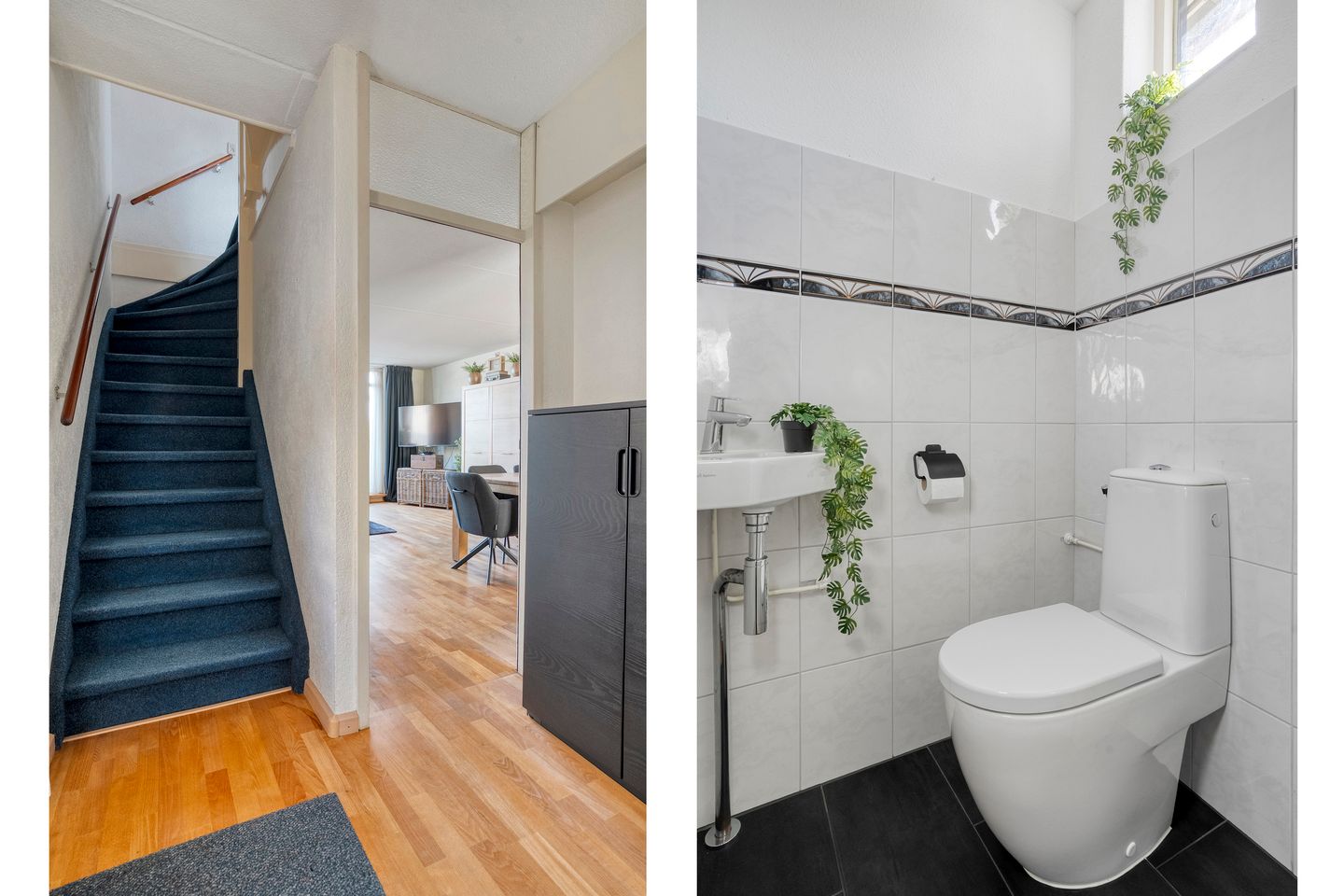 Foto 5 van Toon Slurinkhof 36