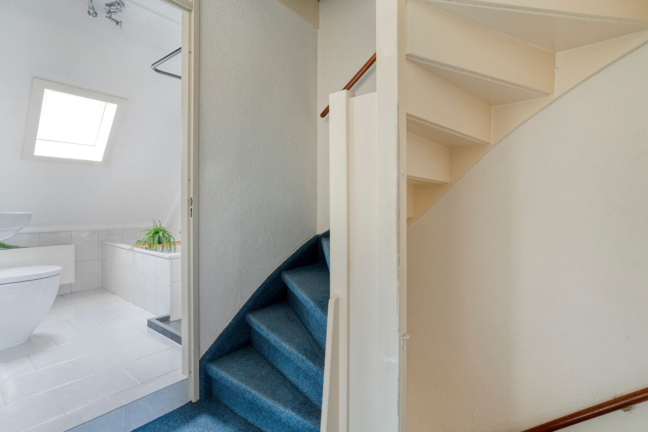 Foto 24 van Toon Slurinkhof 36