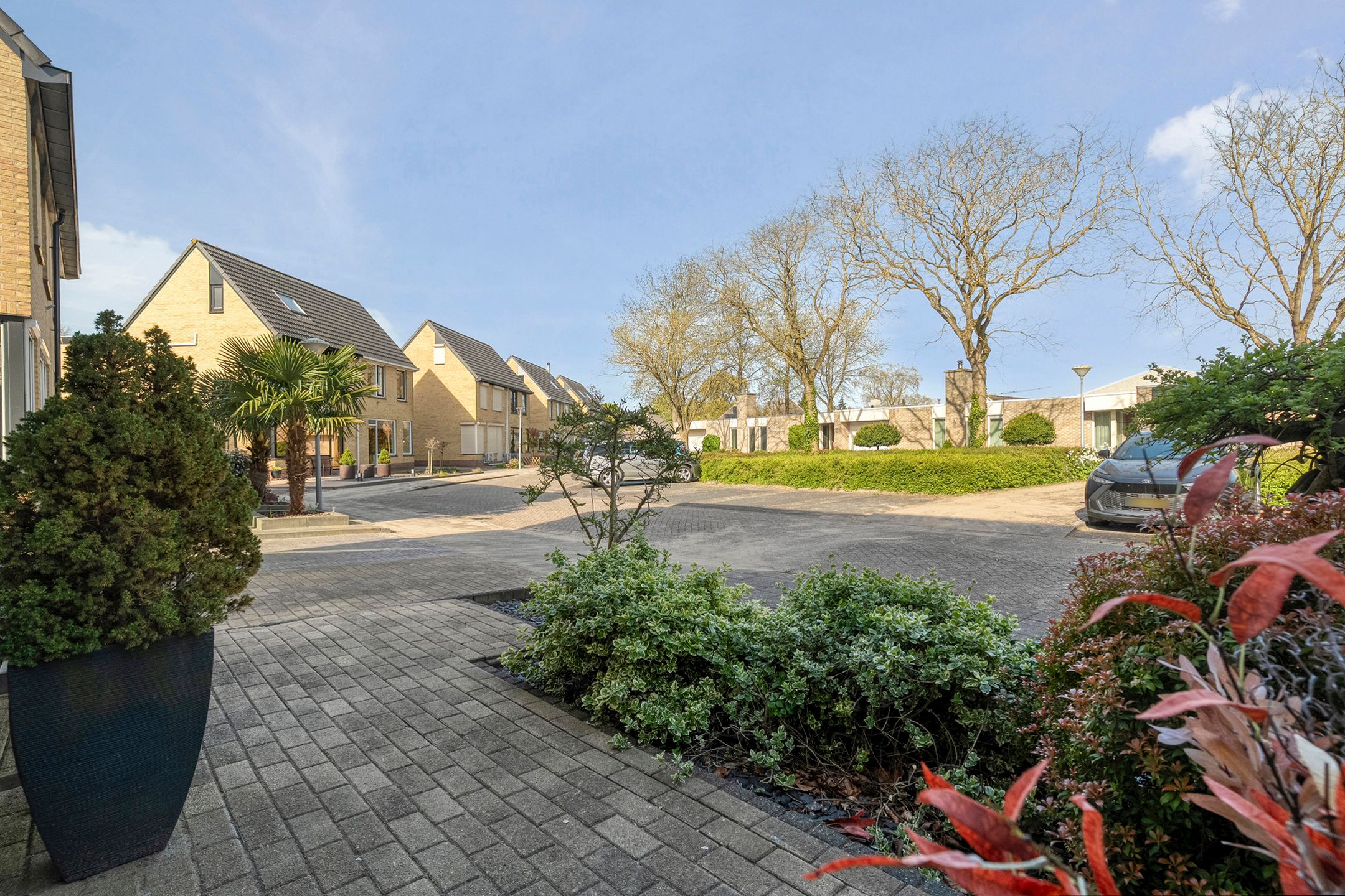 Foto 39 van Toon Slurinkhof 36