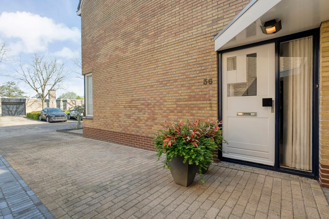 Foto 43 van Toon Slurinkhof 36