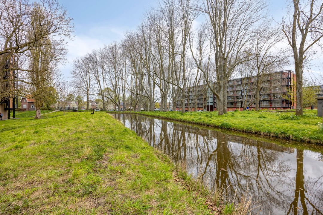 Foto 38 van Cort van der Lindenlaan 24