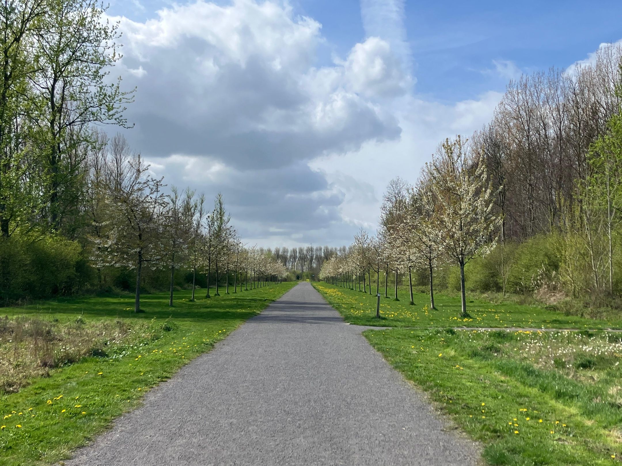 Foto 75 van Amerigo Vespucciweg 92