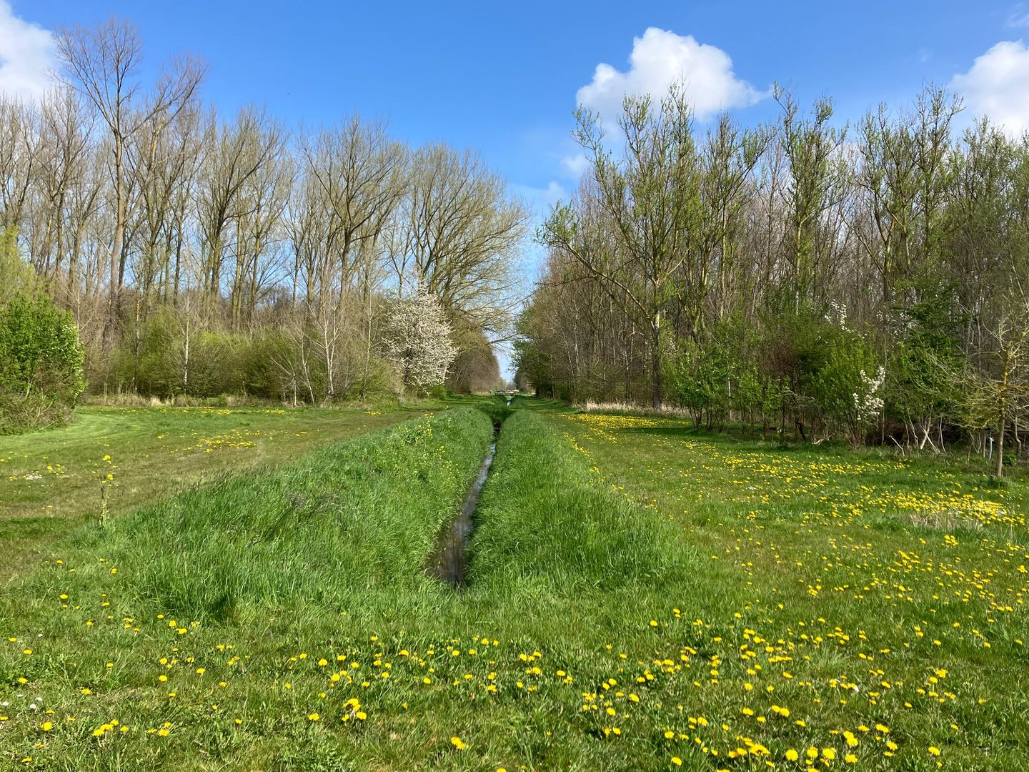 Foto 74 van Amerigo Vespucciweg 92