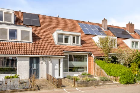 undefined main image