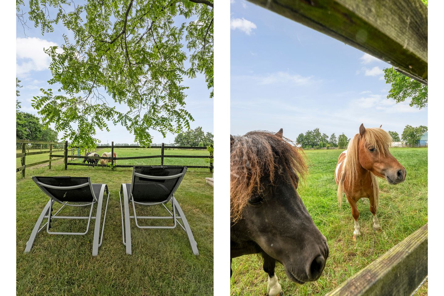 Foto 55 van Hessenweg 9