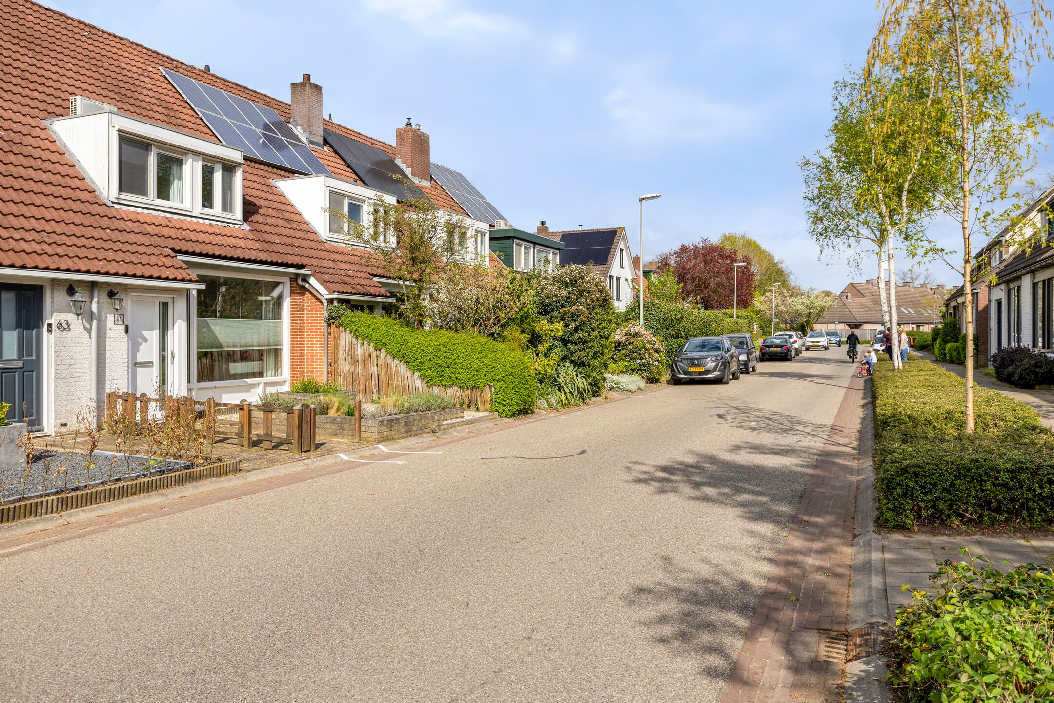 Foto 36 van Vogelslag 65