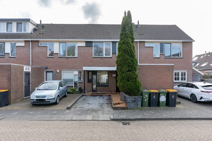 Foto 2 van Zebraspoor 704