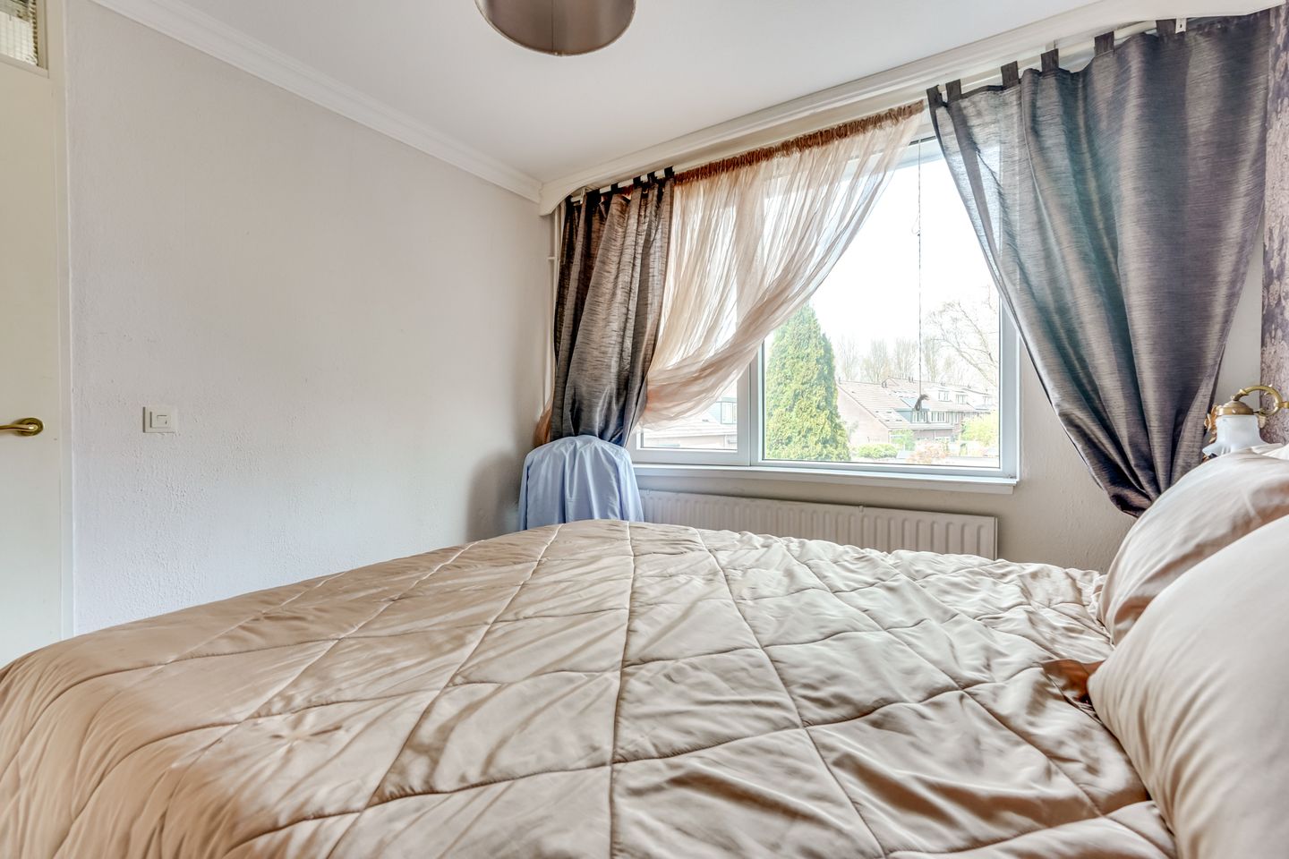 Foto 50 van Zebraspoor 704