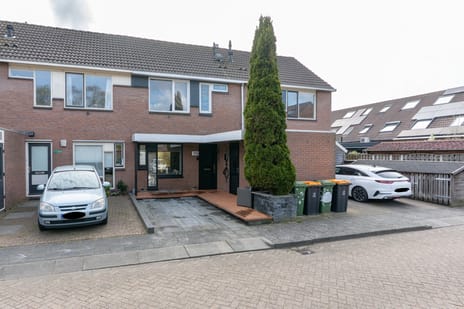 Zebraspoor thumbnail