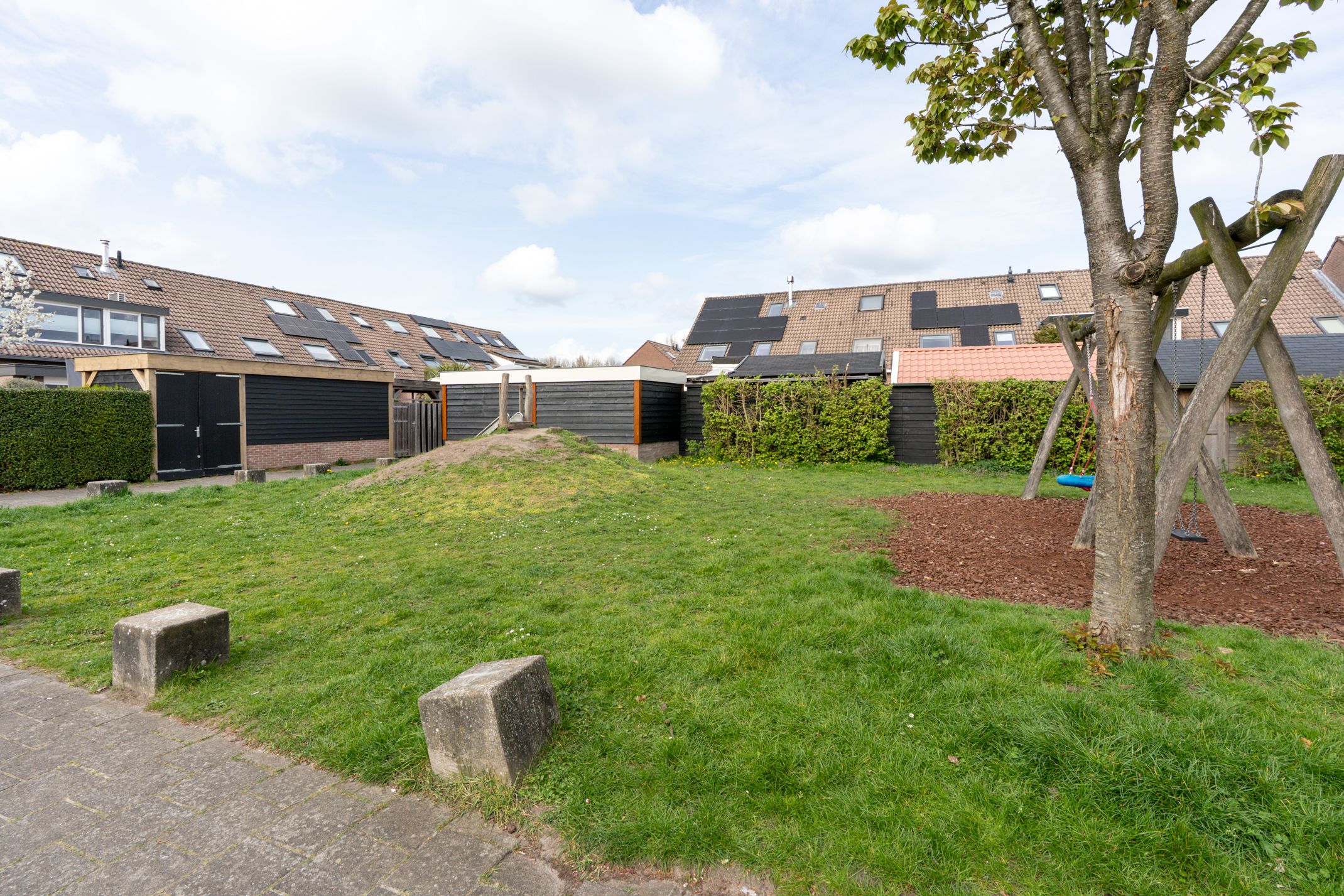 Foto 66 van Zebraspoor 704