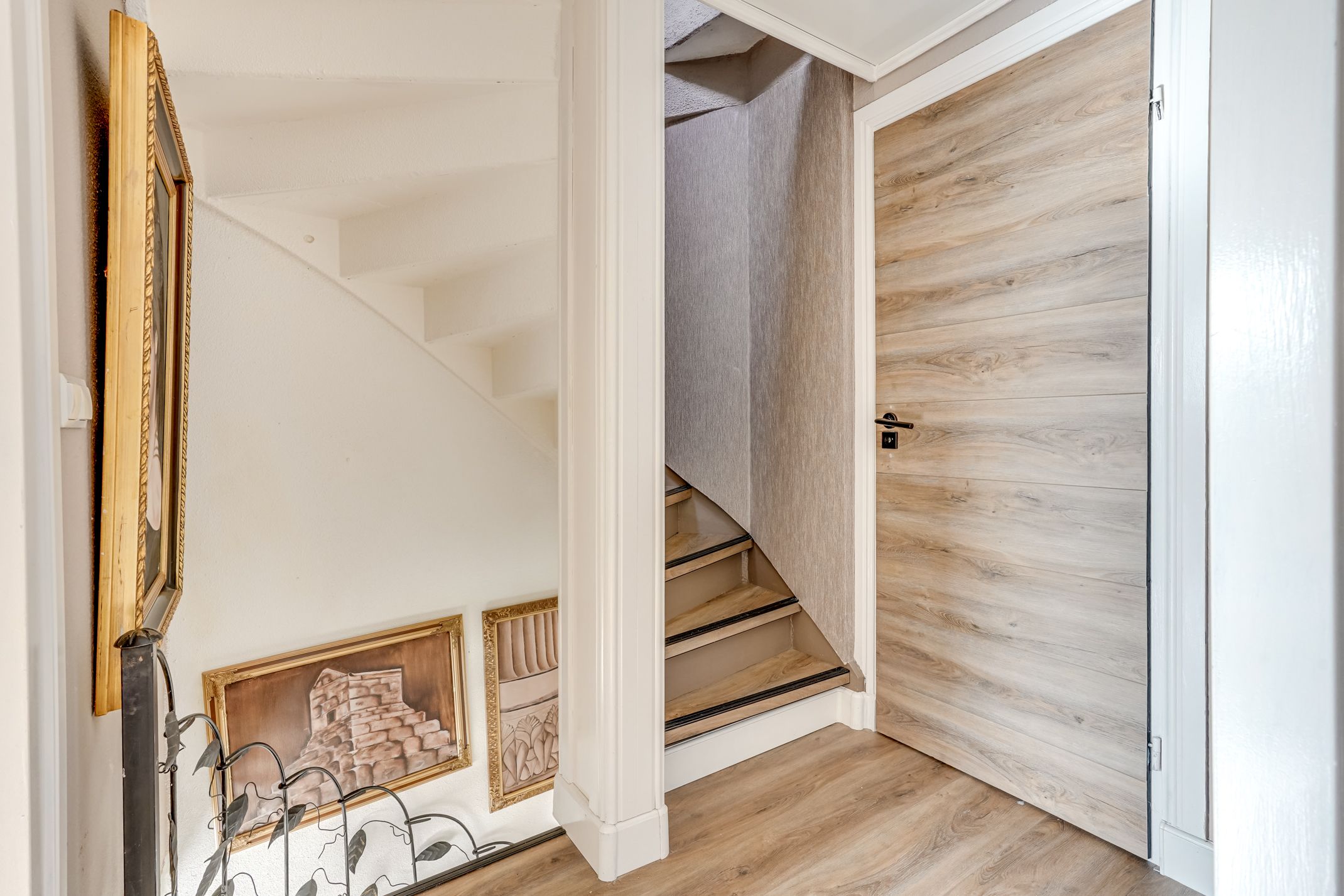 Foto 45 van Zebraspoor 704