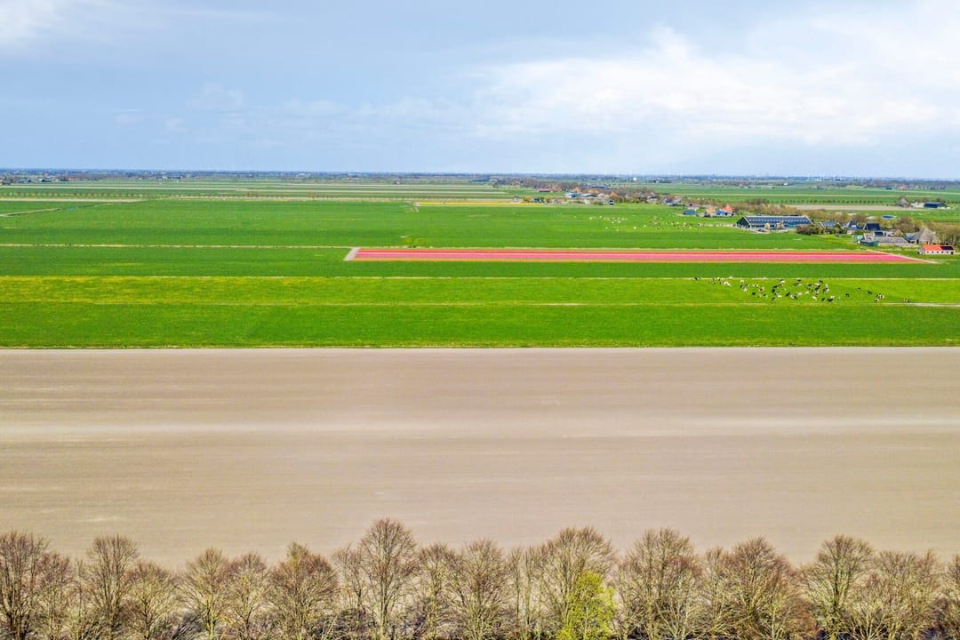 Foto 73 van Bernardus Hollanderstraat 1